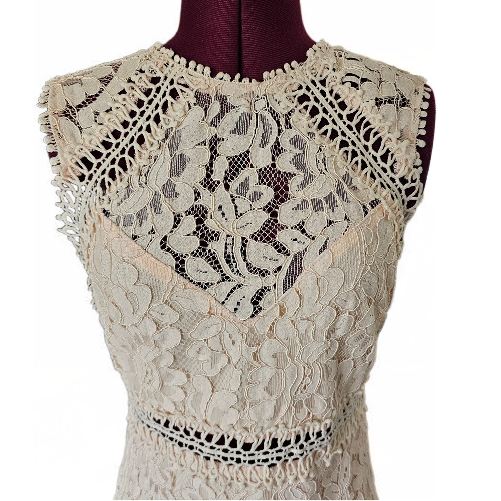 Main Strip Sleeveless Crochet Lace Knee Length Dress Cream Nude Womens - Picture 3 of 16